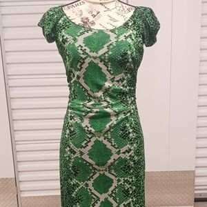Kay Unger Green Snake Print Midi Dress
